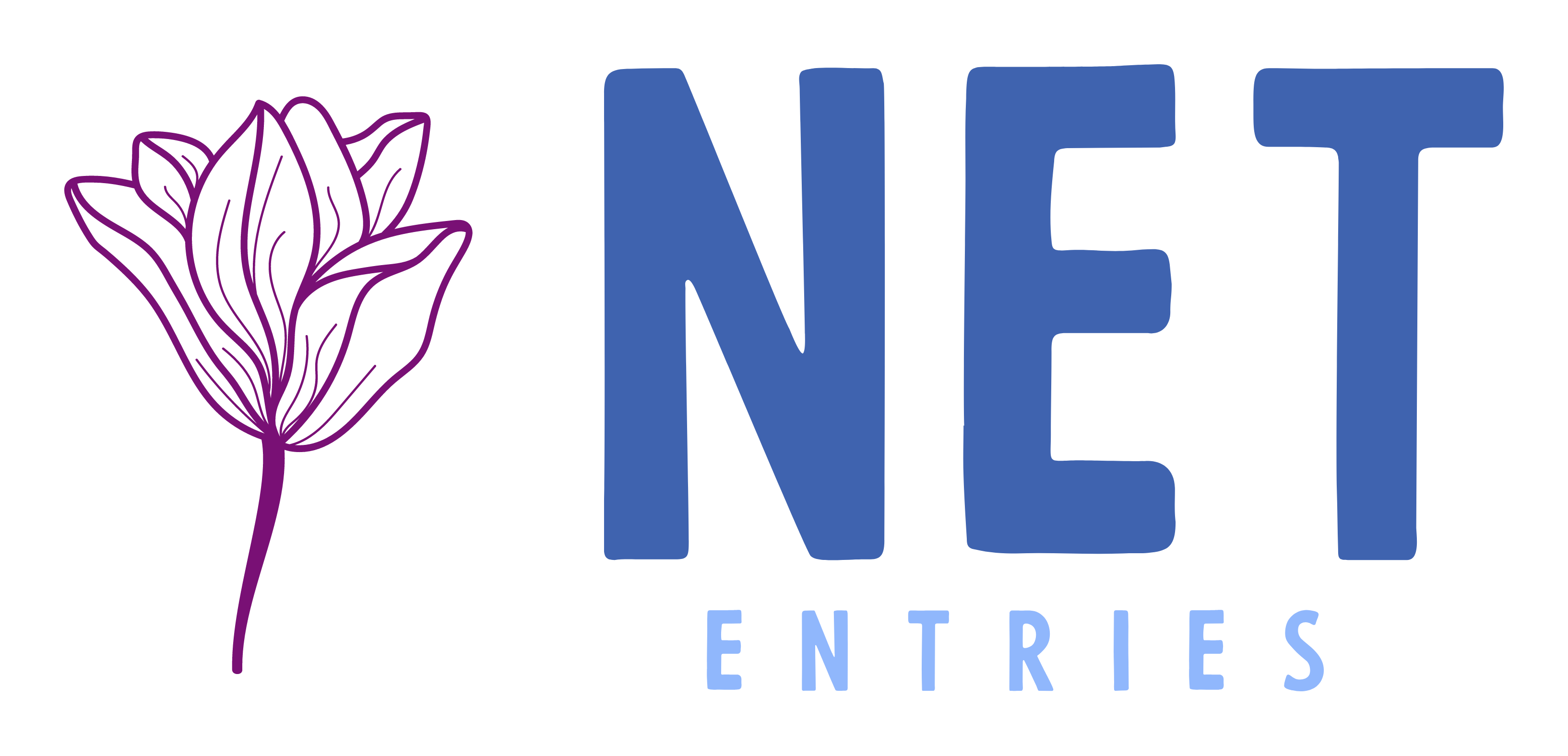 net-entries.com